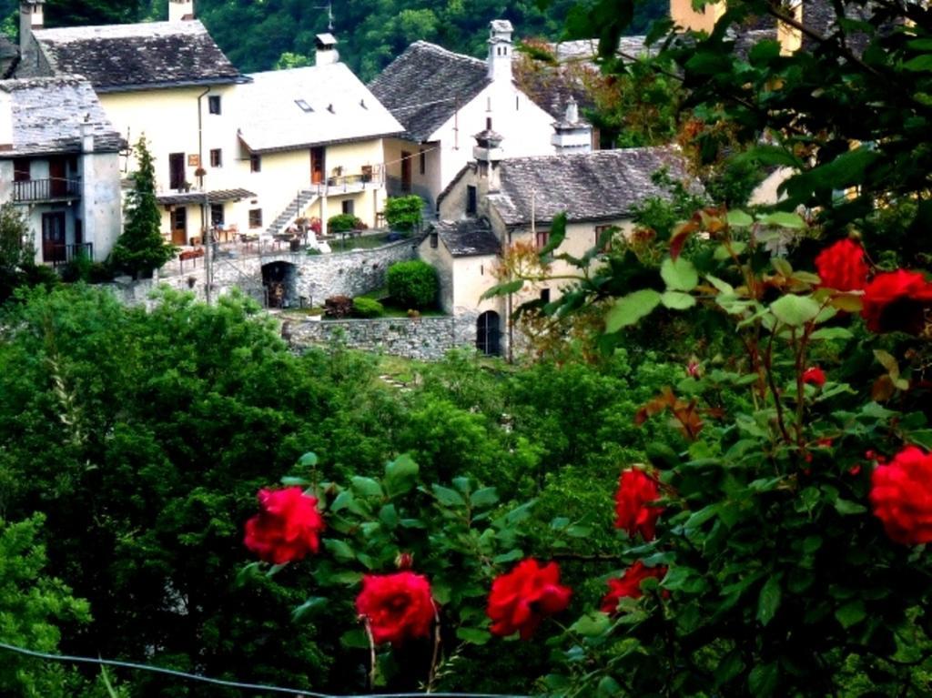 B&B Alpe Veglia ヴァルツォ エクステリア 写真