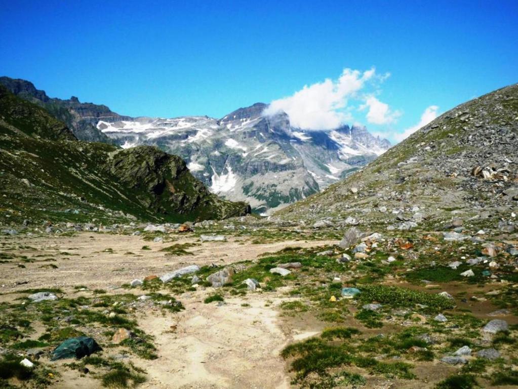 B&B Alpe Veglia ヴァルツォ エクステリア 写真
