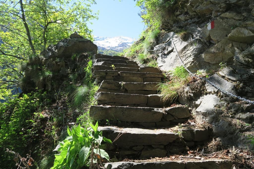 B&B Alpe Veglia ヴァルツォ エクステリア 写真