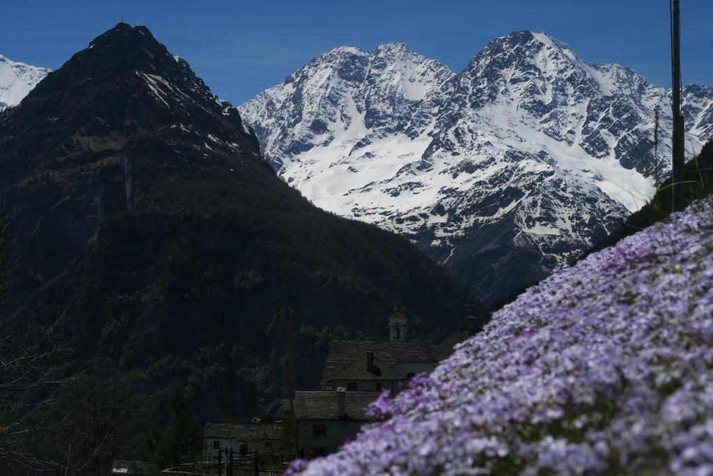B&B Alpe Veglia ヴァルツォ エクステリア 写真