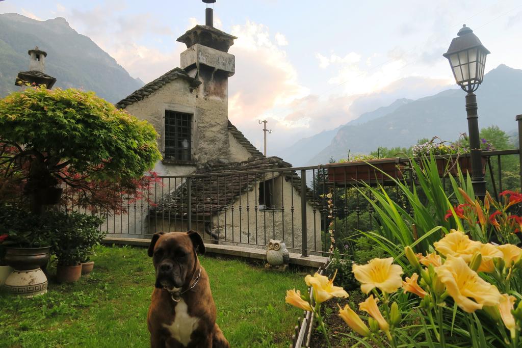 B&B Alpe Veglia ヴァルツォ エクステリア 写真