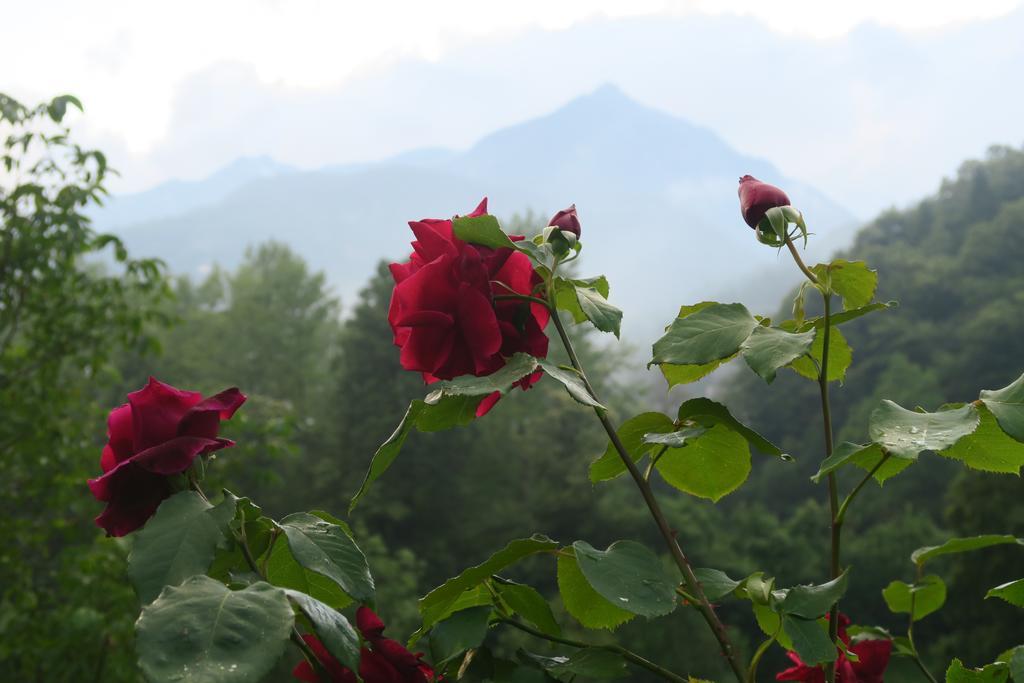 B&B Alpe Veglia ヴァルツォ エクステリア 写真