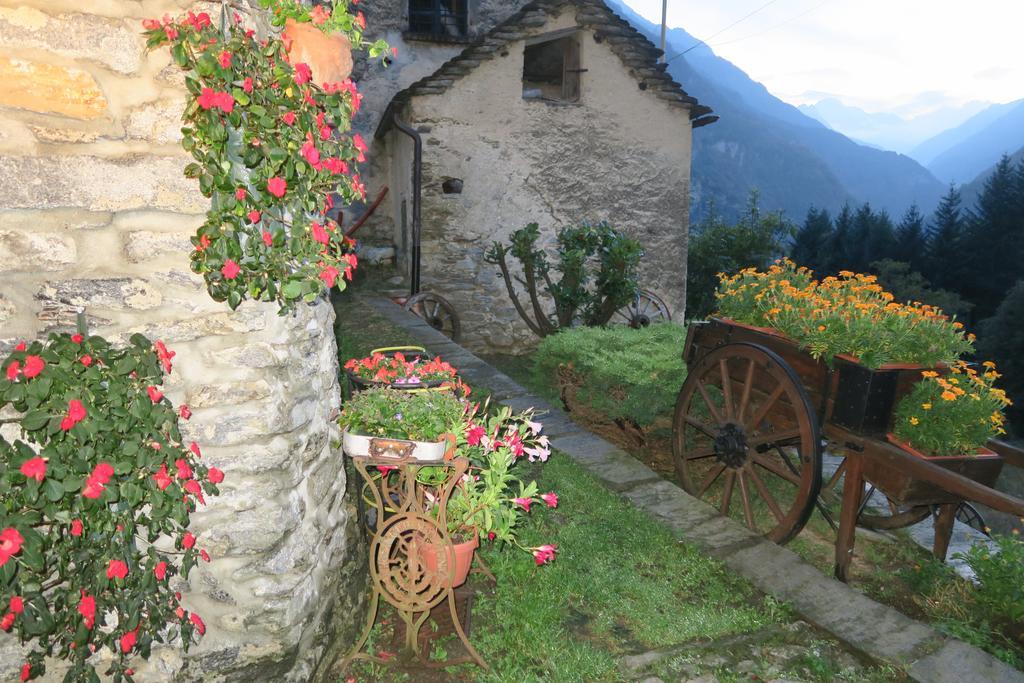 B&B Alpe Veglia ヴァルツォ エクステリア 写真